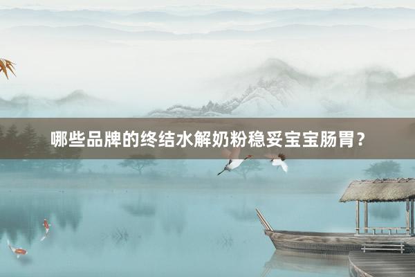 哪些品牌的终结水解奶粉稳妥宝宝肠胃？